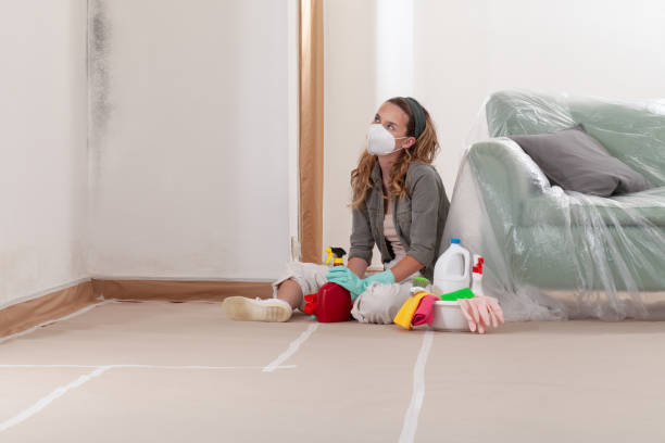 Reliable Crawl Space Mold Removal contractor in Magnolia, TX by WQB Mold Removal
